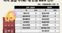 롤ս йڿ  ߼ M&A Ȱѵ